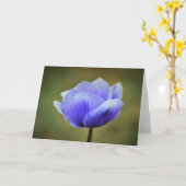Anemone, Karte (Gelbe Blume)