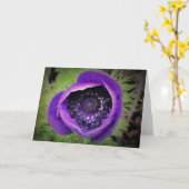 Anemone, Karte (Gelbe Blume)