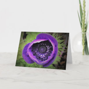 Anemone, Karte