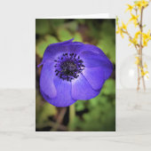 Anemone, Karte (Gelbe Blume)