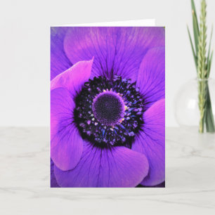 Anemone, Karte