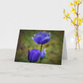 Anemone, Karte (Gelbe Blume)