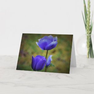 Anemone, Karte