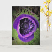 Anemone, Karte (Gelbe Blume)
