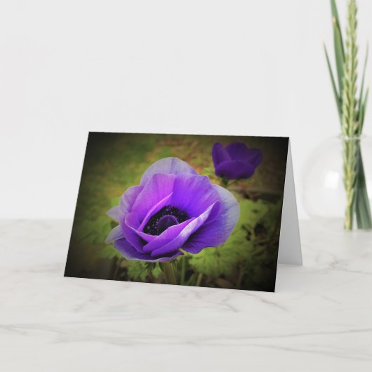 Anemone, Karte (Vorderseite)