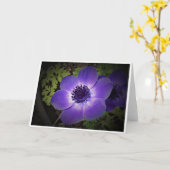 Anemone, Karte (Gelbe Blume)