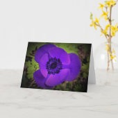 Anemone, Karte (Gelbe Blume)