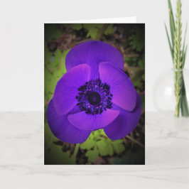 Anemone, Karte