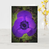 Anemone, Karte (Gelbe Blume)