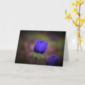 Anemone, Karte (Gelbe Blume)