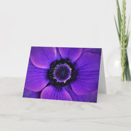 Anemone, Karte
