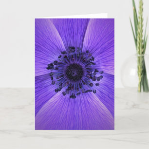 Anemone, Karte