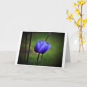 Anemone, Karte (Gelbe Blume)