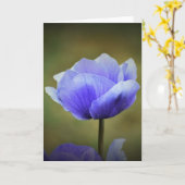 Anemone, Karte (Gelbe Blume)