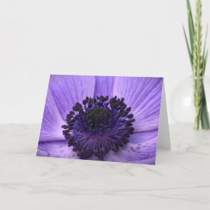 Anemone, Karte