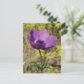 Anemone Lila Blume Postkarte (Stehend Vorderseite)