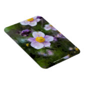 Anemone Magnet (Rechte Seite)