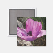 Anemone Magnet (Vorderseite/Rückseite)
