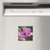 Anemone Magnet (In Situ (Geschirrspüler))