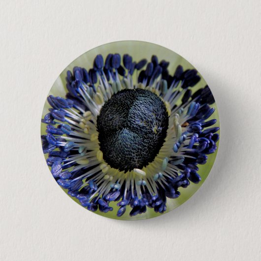 Anemone Mistral Panda Abzeichen Button (Vorderseite)
