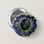 Anemone Mistral Panda Abzeichen Button (Vorne & Hinten)