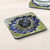 Anemone Mistral Panda Getränkeuntersetzer (Linke Seite)