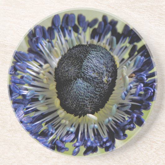 Anemone Mistral Panda Getränkeuntersetzer (Vorne)