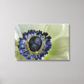 Anemone Mistral Panda Leinwanddruck (Vorderseite)