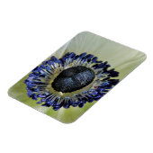 Anemone Mistral Panda Magnet (Linke Seite)