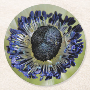 Anemone Mistral Panda Runder Pappuntersetzer