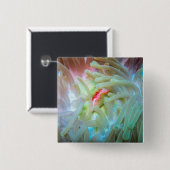 Anemone multicolore button (Vorne & Hinten)