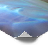 Anemone multicolore poster (Ecke)