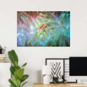 Anemone multicolore poster (Heimbüro)