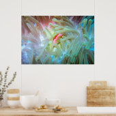 Anemone multicolore poster (Küche)