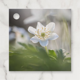 Anemone Nature Foto Geschenkanhänger