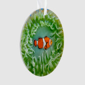 Anemone Ornament (Vorderseite)