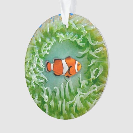 Anemone Ornament (Vorderseite)