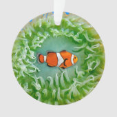 Anemone Ornament (Vorderseite)