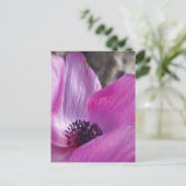Anemone Petals Postcard Postkarte (Stehend Vorderseite)