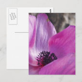 Anemone Petals Postcard Postkarte (Vorne/Hinten)