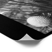 Anemone Poster (Ecke)