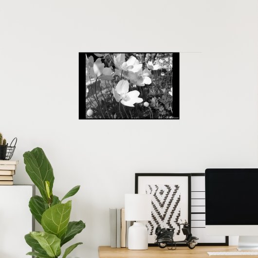 Anemone Poster (Heimbüro)