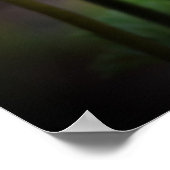 Anemone, Poster (Ecke)