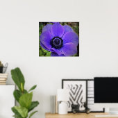 Anemone, Poster (Heimbüro)