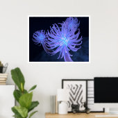 Anemone Poster (Heimbüro)