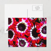 Anemone Postkarte (Vorne/Hinten)