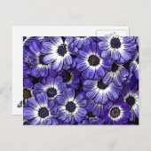 Anemone Postkarte (Vorne/Hinten)