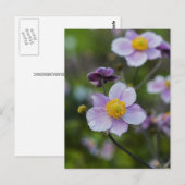 Anemone Postkarte (Vorne/Hinten)