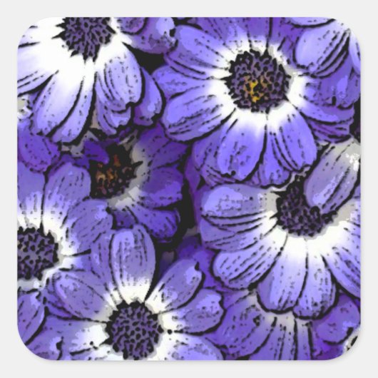 Anemone Quadratischer Aufkleber (Vorderseite)