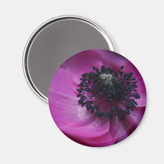 Anemone Round Magnet (Vorderseite/Rückseite)